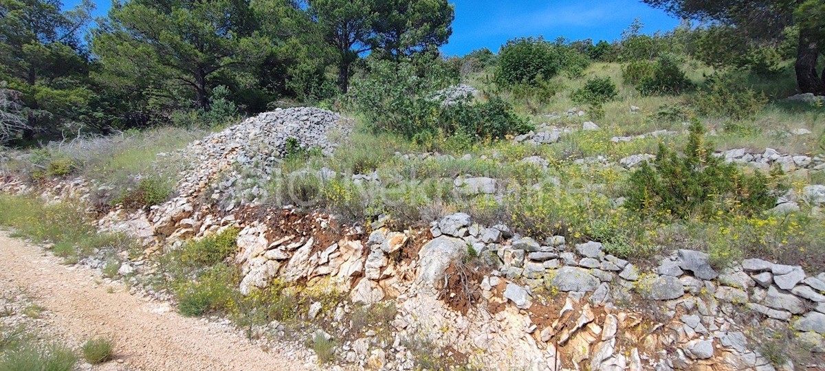 Brac. Bol, Terreno edificabile, 1417 m2, in vendita