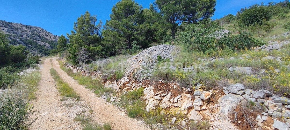 Brac. Bol, Terreno edificabile, 1417 m2, in vendita