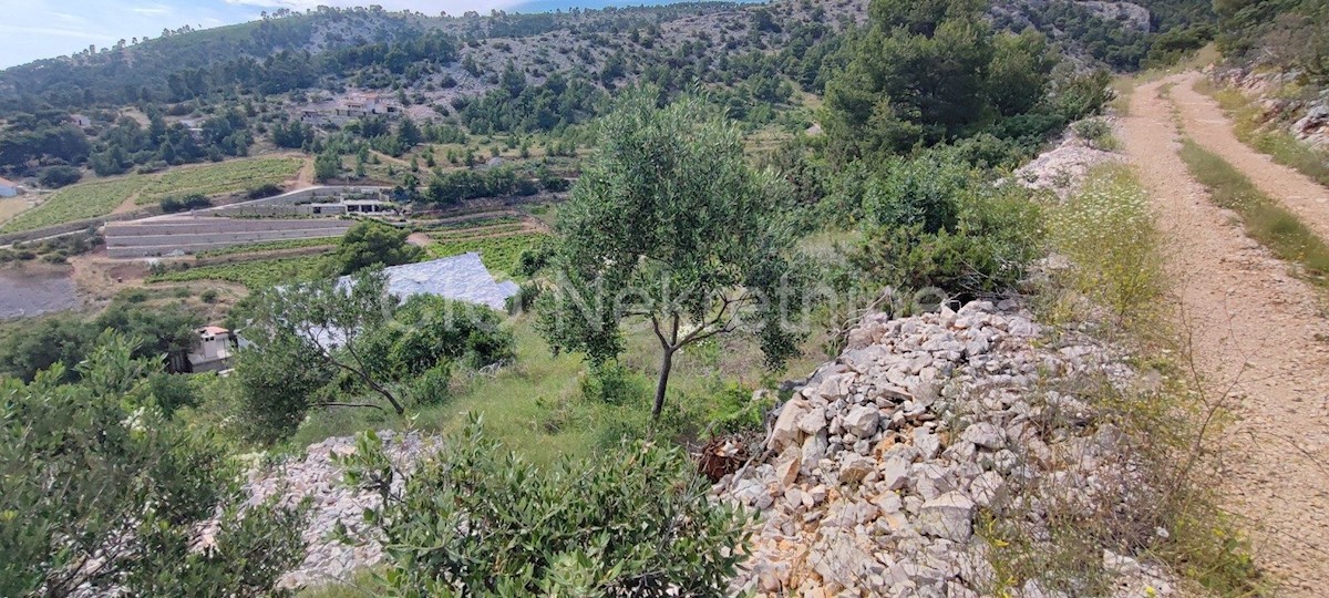 Brac. Bol, Terreno edificabile, 1417 m2, in vendita