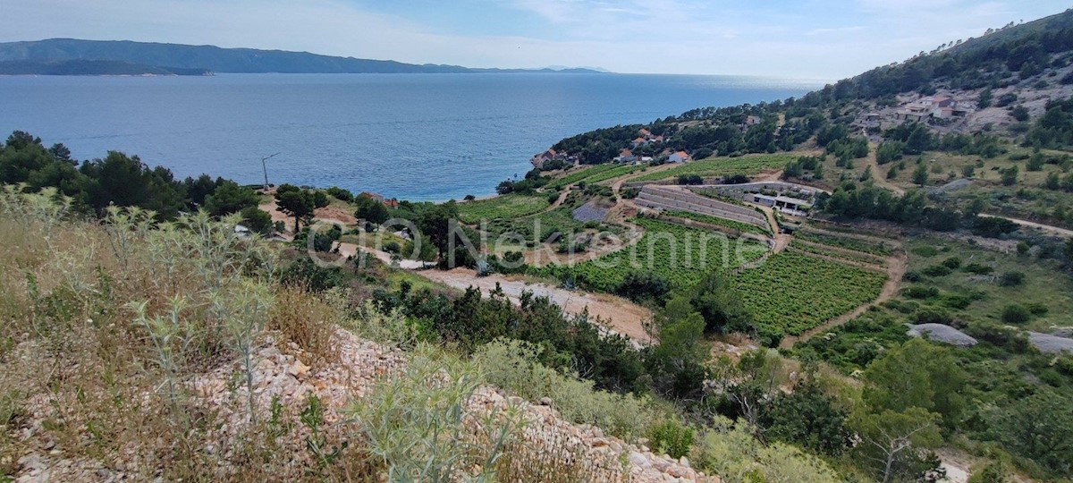 Brac. Bol, Terreno edificabile, 1417 m2, in vendita