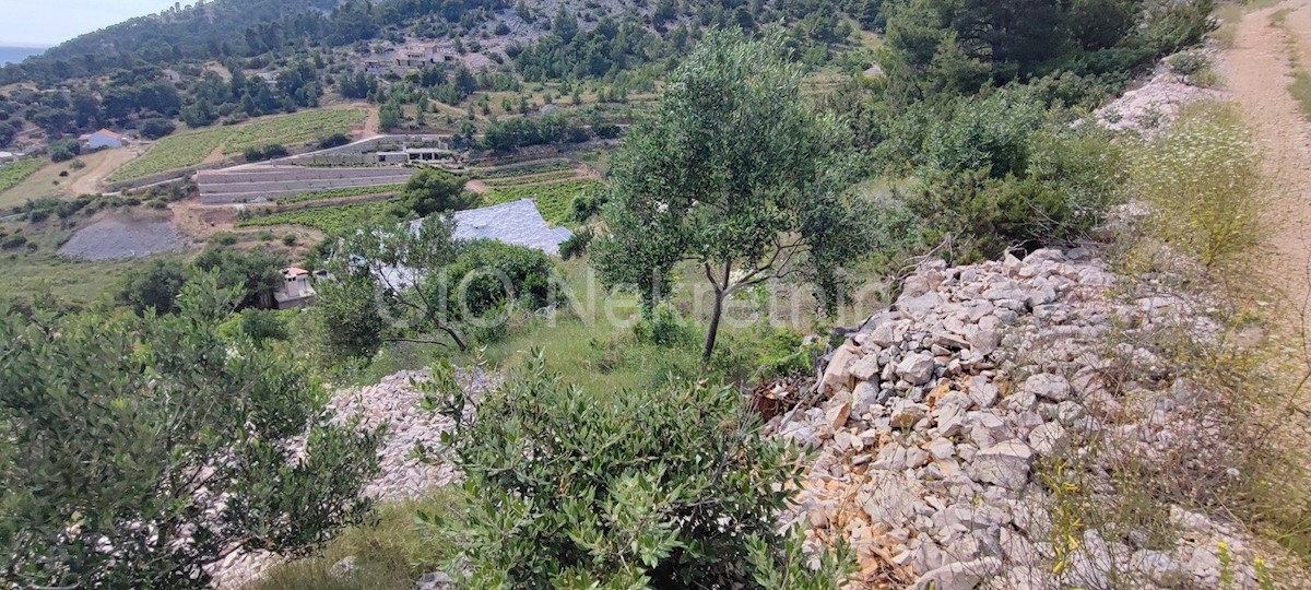 Brac. Bol, Terreno edificabile, 1417 m2, in vendita