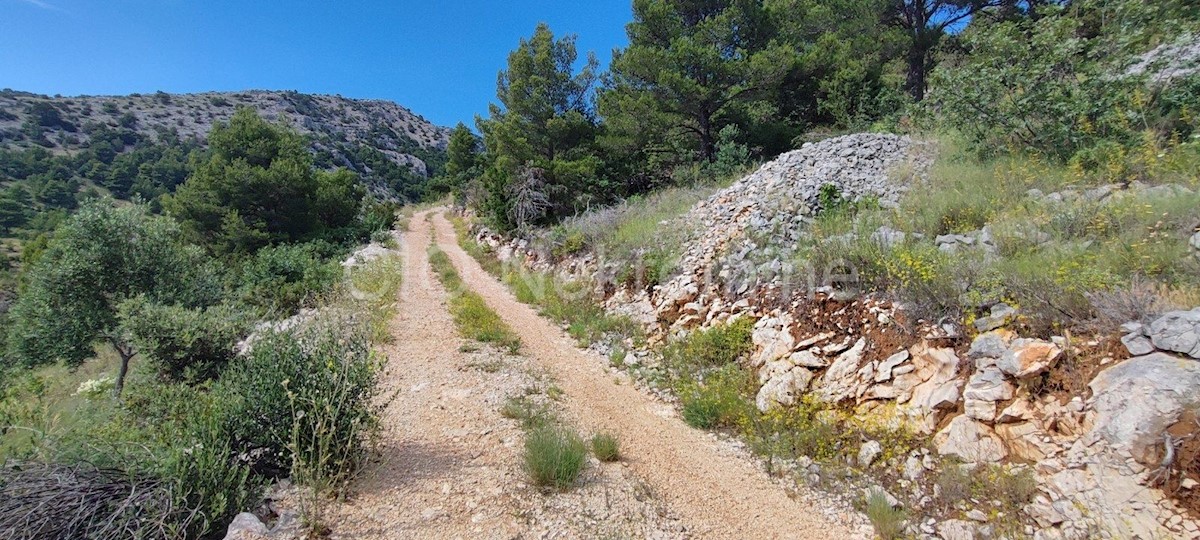 Brac. Bol, Terreno edificabile, 1417 m2, in vendita