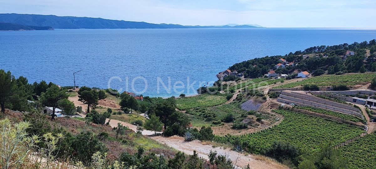 Brac. Bol, Terreno edificabile, 1417 m2, in vendita