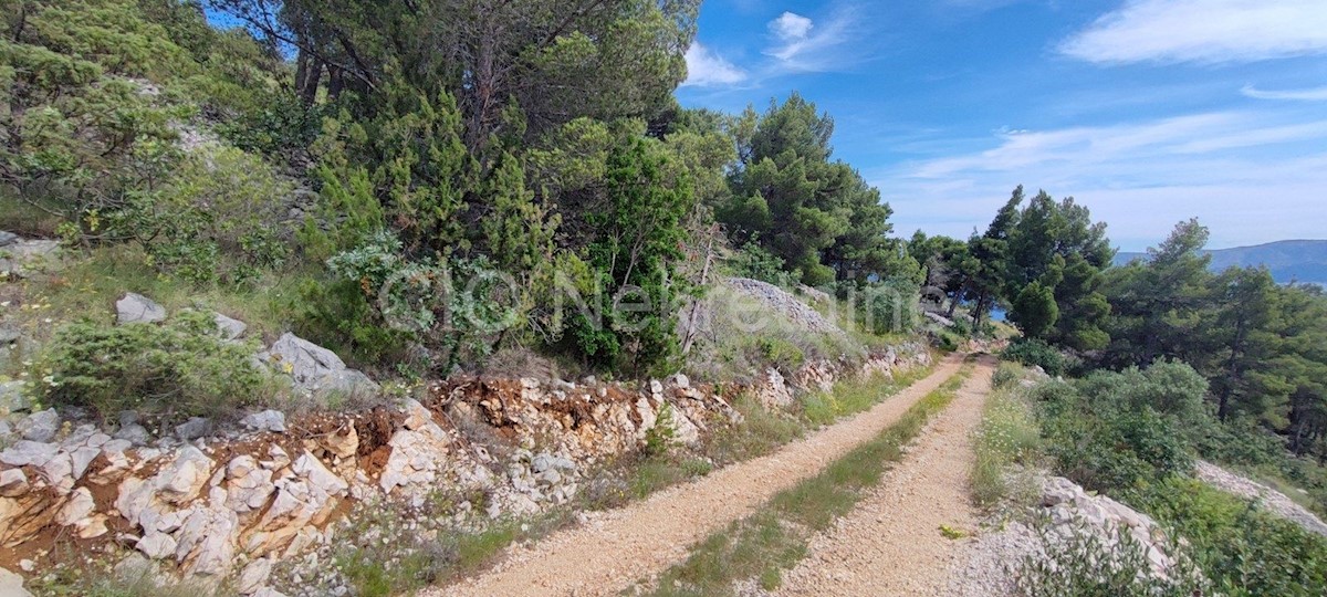 Brac. Bol, Terreno edificabile, 1417 m2, in vendita