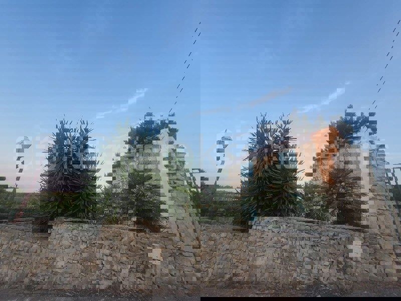 Šolta, Rogač, casa indipendente in pietra con vista mare