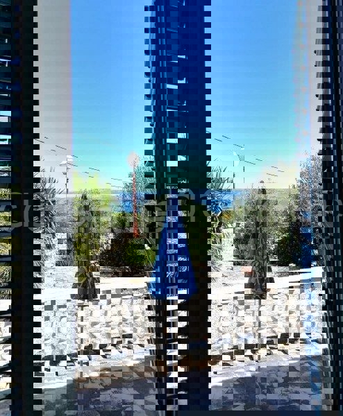 Šolta, Rogač, casa indipendente in pietra con vista mare