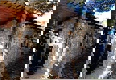 Šolta, Rogač, casa indipendente in pietra con vista mare