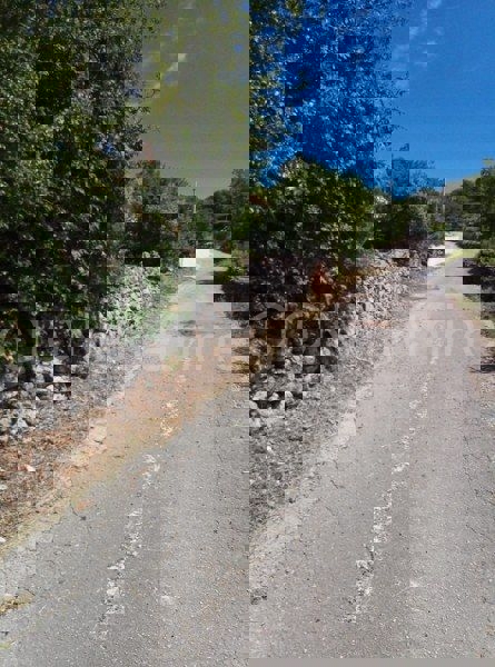 Brštanovo, terreno edificabile e agricolo 4306 m2, in vendita