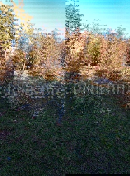 Brštanovo, terreno edificabile e agricolo 4306 m2, in vendita
