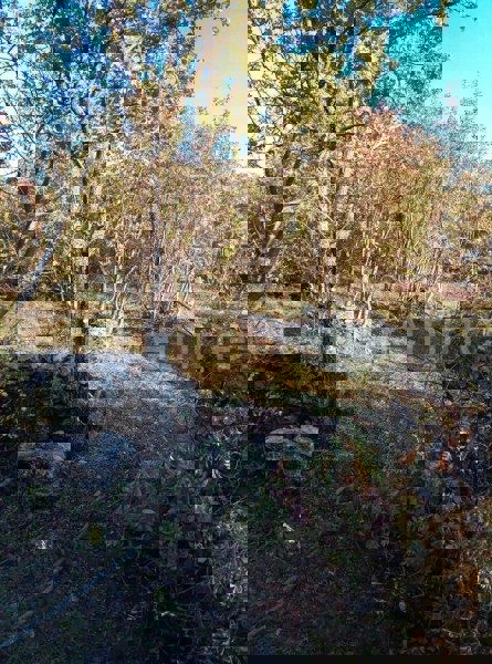 Brštanovo, terreno edificabile e agricolo 4306 m2, in vendita