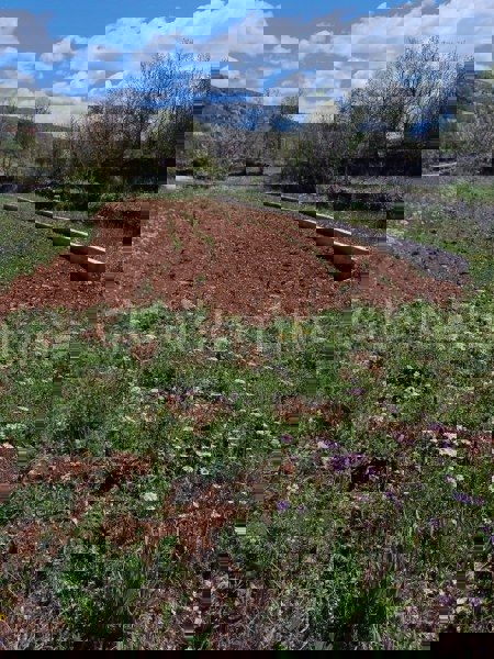 Brštanovo, terreno edificabile e agricolo 4306 m2, in vendita