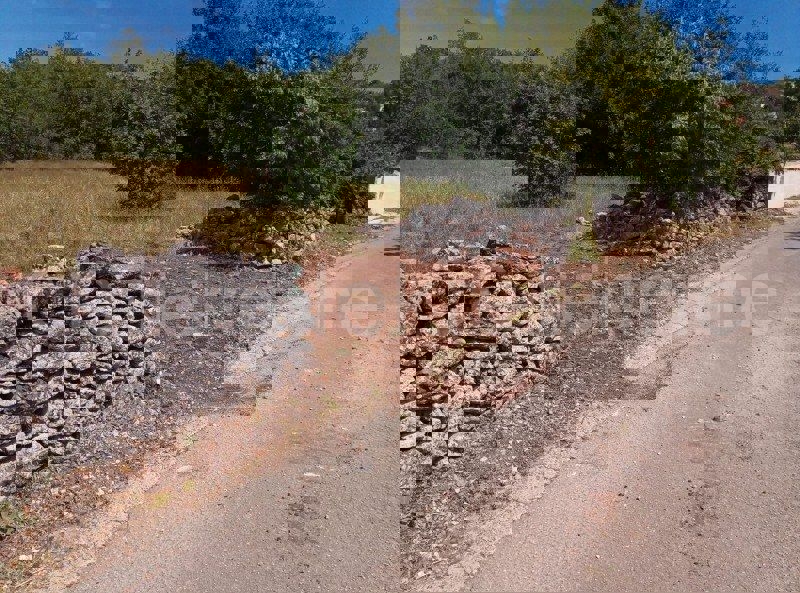 Brštanovo, terreno edificabile e agricolo 4306 m2, in vendita