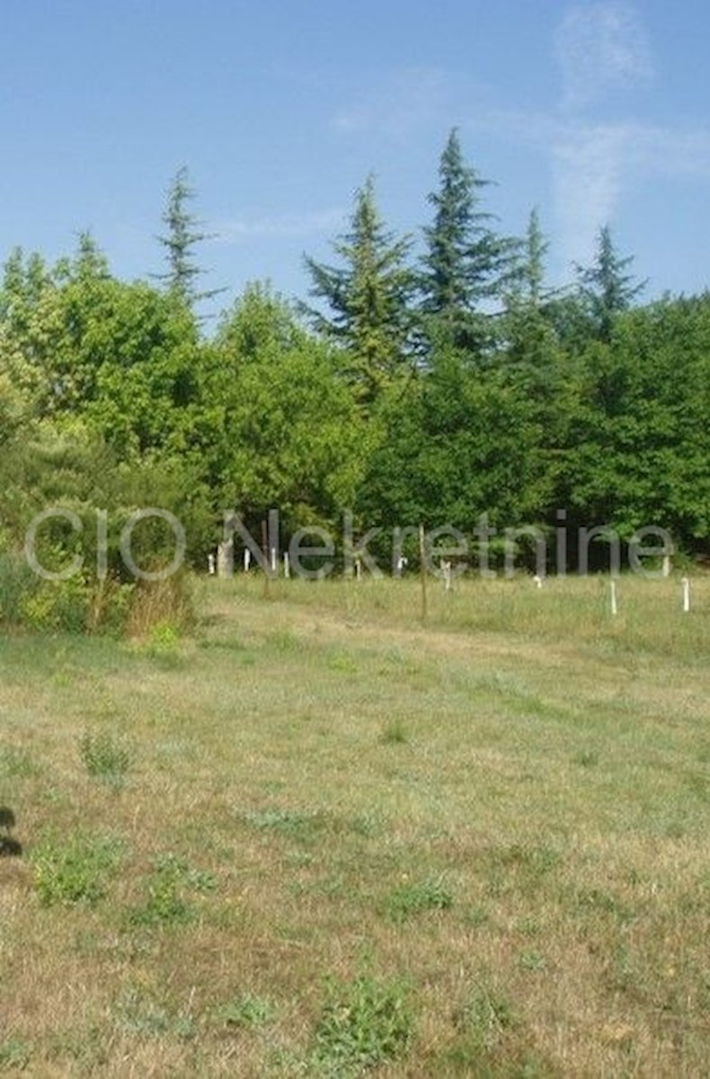 Sinj, Glavice, una tenuta di campagna con una casa, vendita