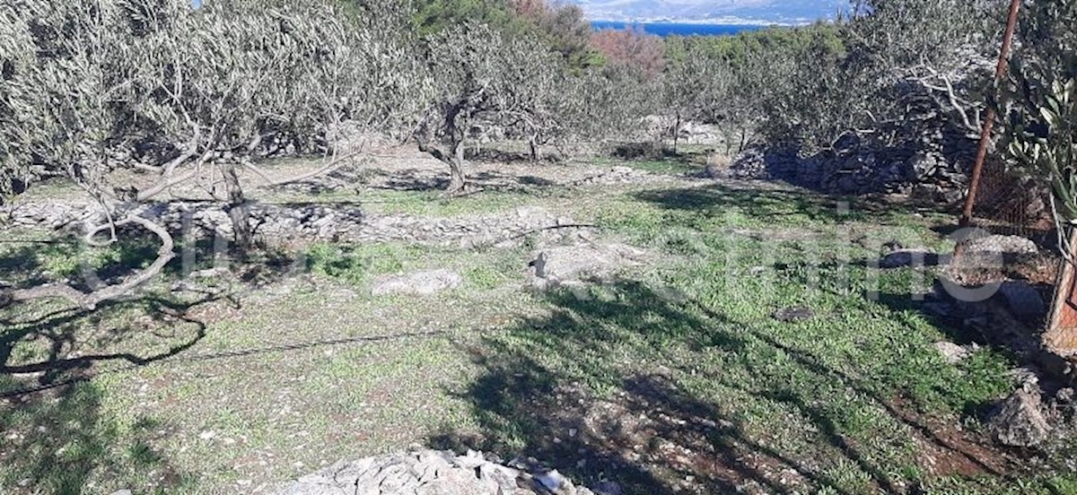 Supetar, terreno agricolo, vendita