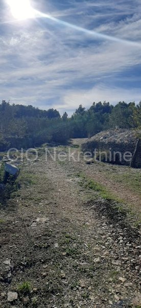 Supetar, terreno agricolo, vendita