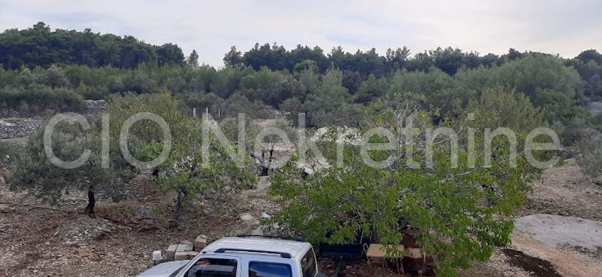 Supetar, terreno agricolo, vendita