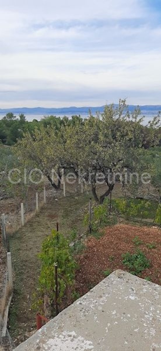 Supetar, terreno agricolo, vendita