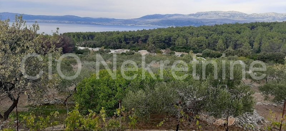 Supetar, terreno agricolo, vendita