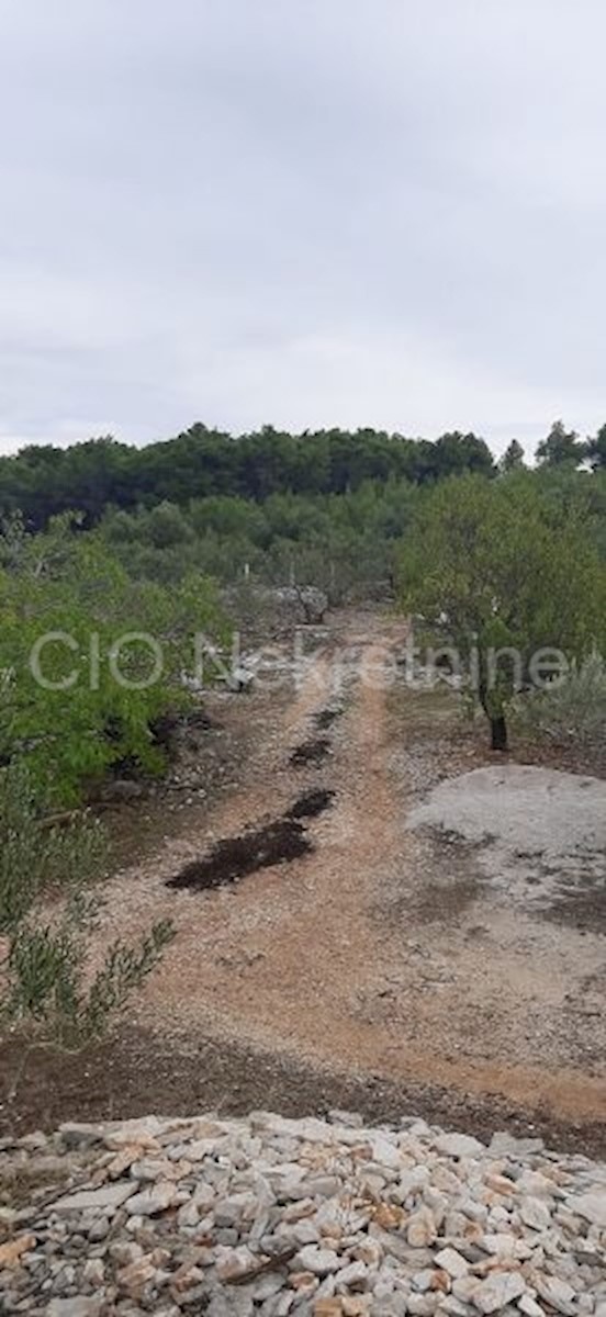 Supetar, terreno agricolo, vendita