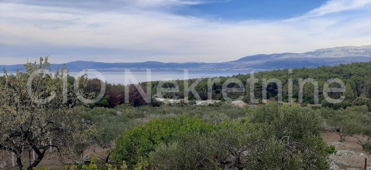 Supetar, terreno agricolo, vendita