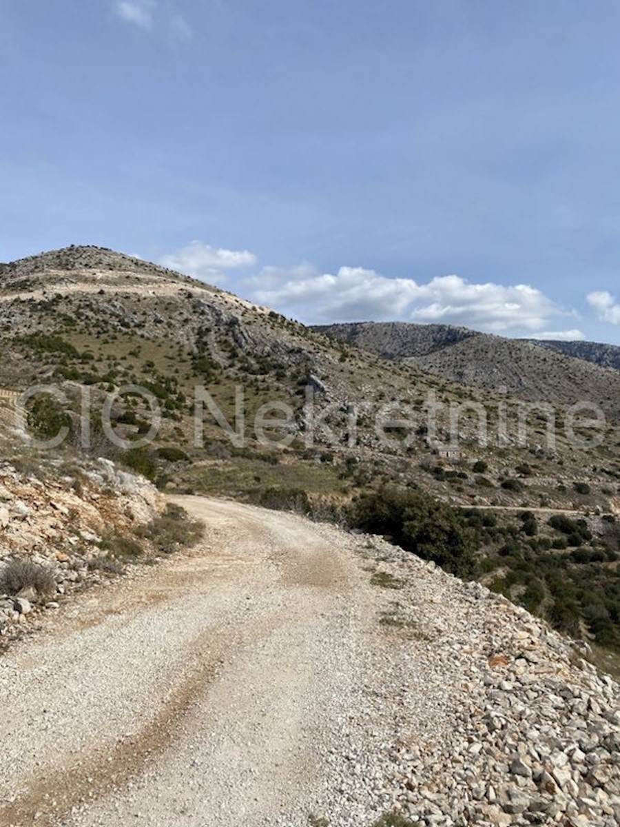 Brac, Nerezisca, terreno agricolo, vendita