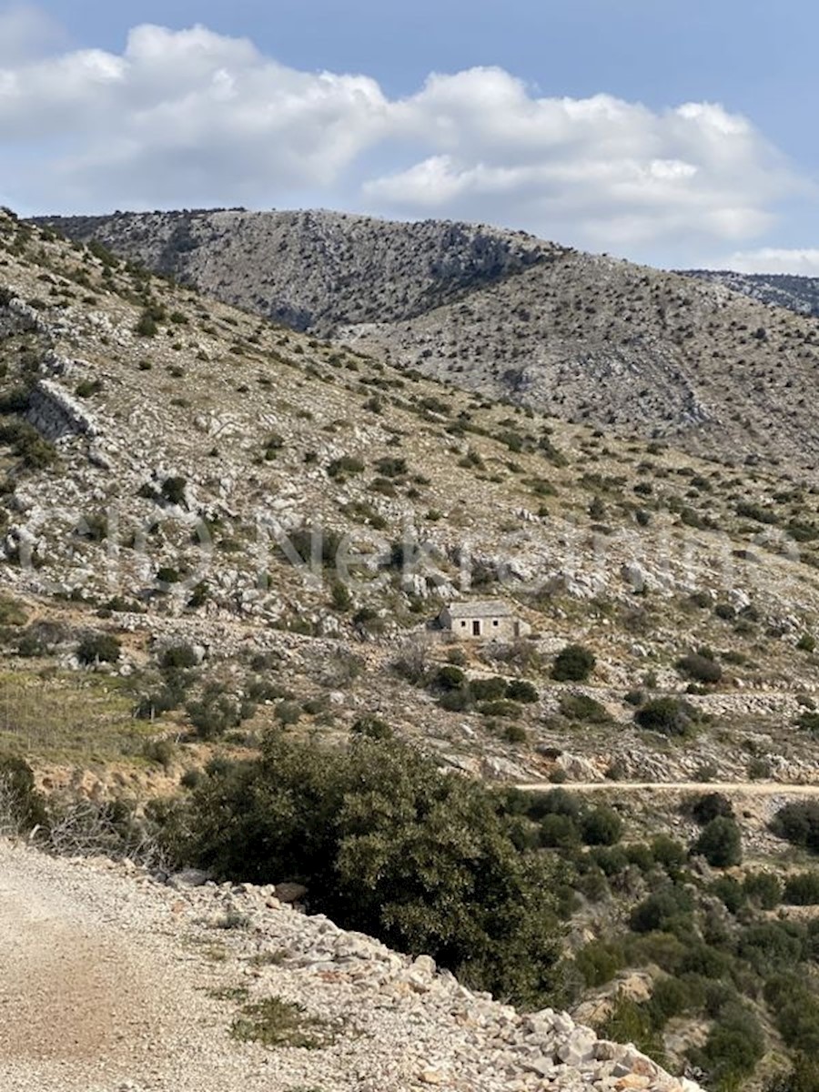 Brac, Nerezisca, terreno agricolo, vendita