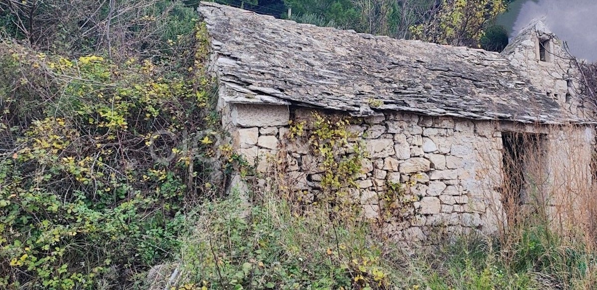 Omiš, casa in pietra, terreno e uliveto, in vendita