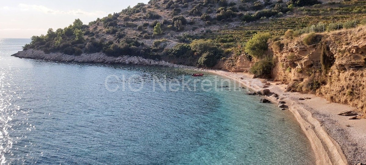 Brač, Bol, Murvica, terreno agricolo, vendita