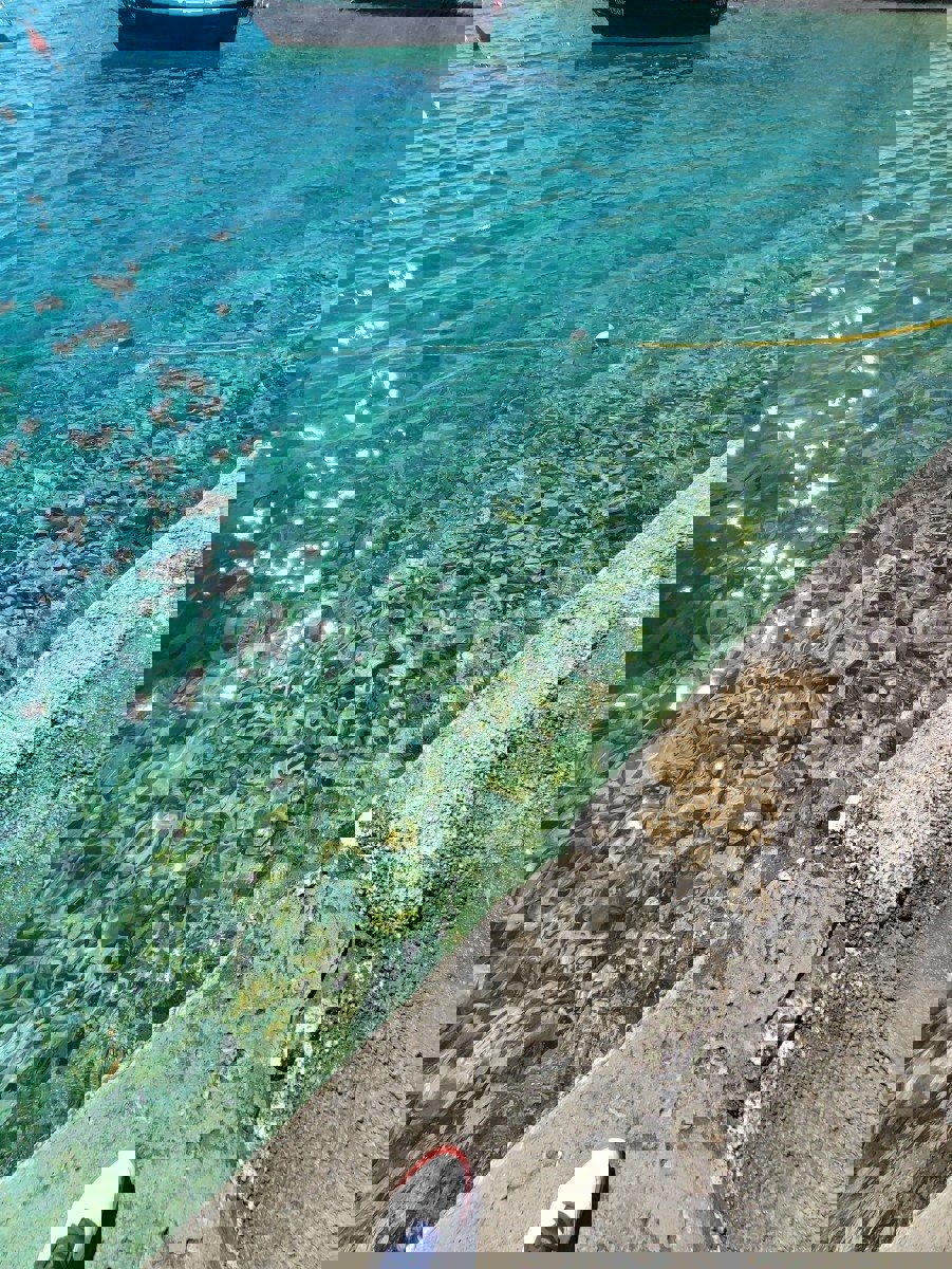 Sevid, Ultima possibilità, terreno edificabile, prima fila al mare