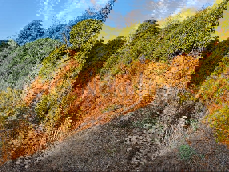 Brač, Nerežišća, casa in rovina con garage, in vendita