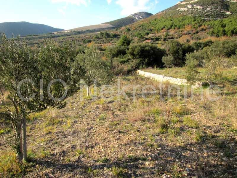 Kaštel Stari, terreni agricoli, vendita