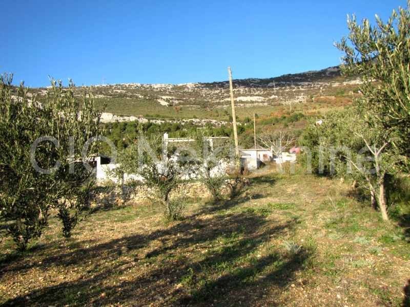 Kaštel Stari, terreni agricoli, vendita