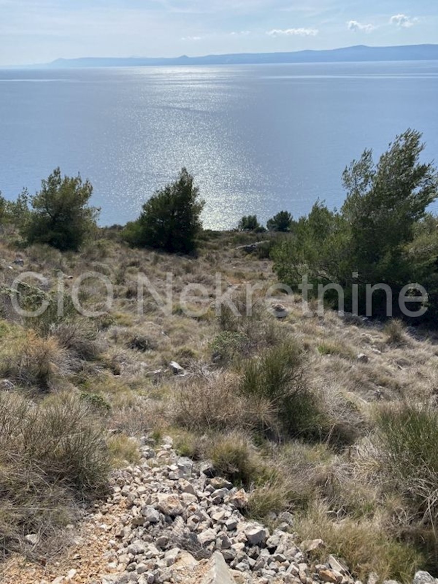 Bol, Brac, terreno agricolo, vendita