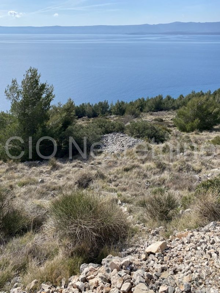 Bol, Brac, terreno agricolo, vendita