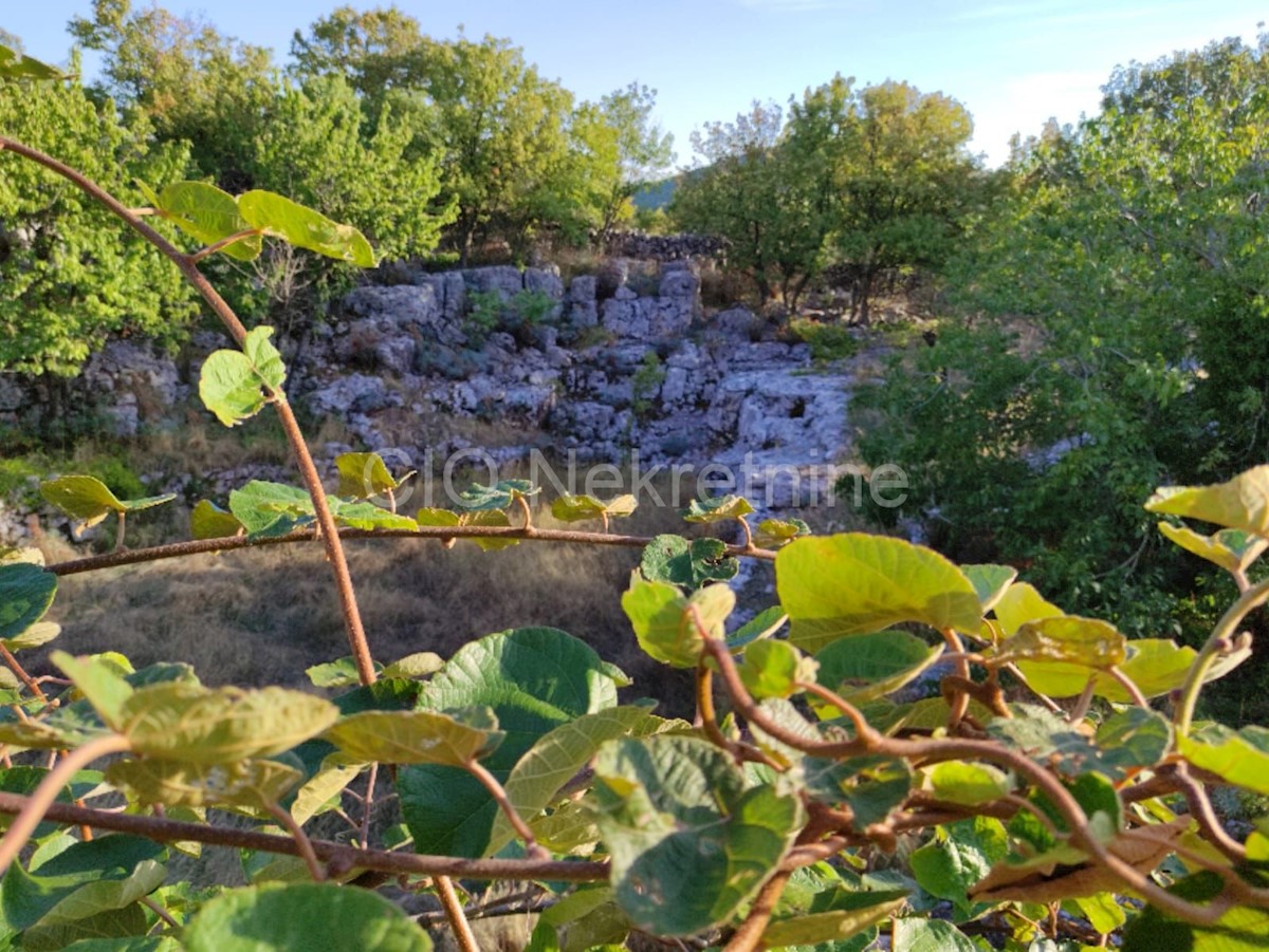 Brač, Gornji Humac, casa indipendente da ristrutturare, vendita