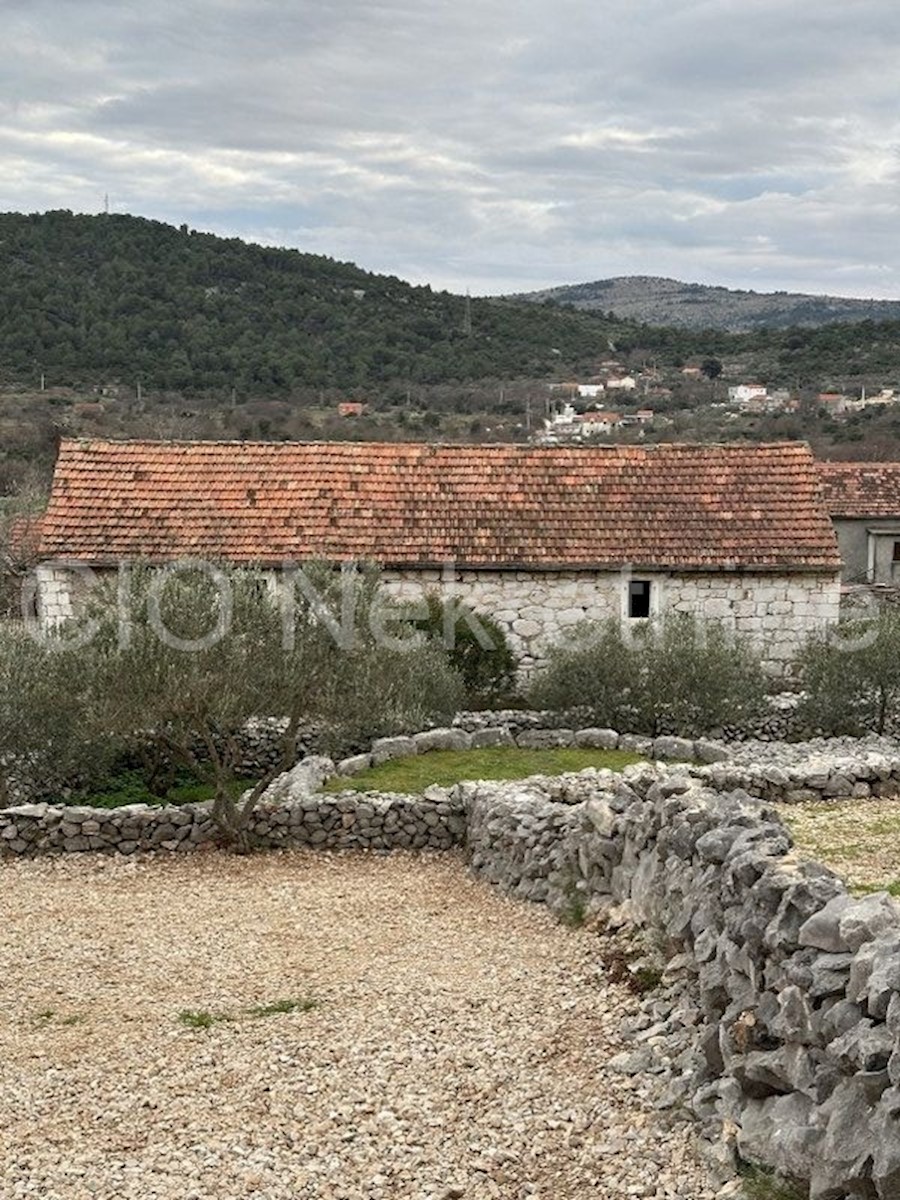 Marina, Vrsine, Casa in pietra, Vendita