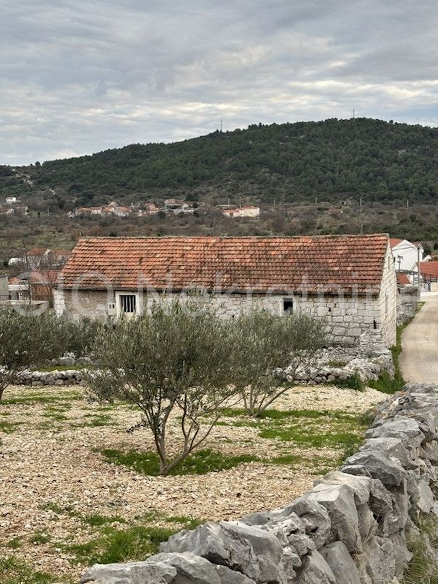 Marina, Vrsine, Casa in pietra, Vendita