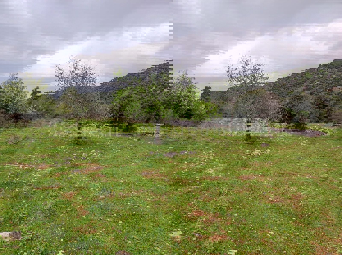 Brač, Selca, ampio terreno agricolo di 11.274 m2, in vendita