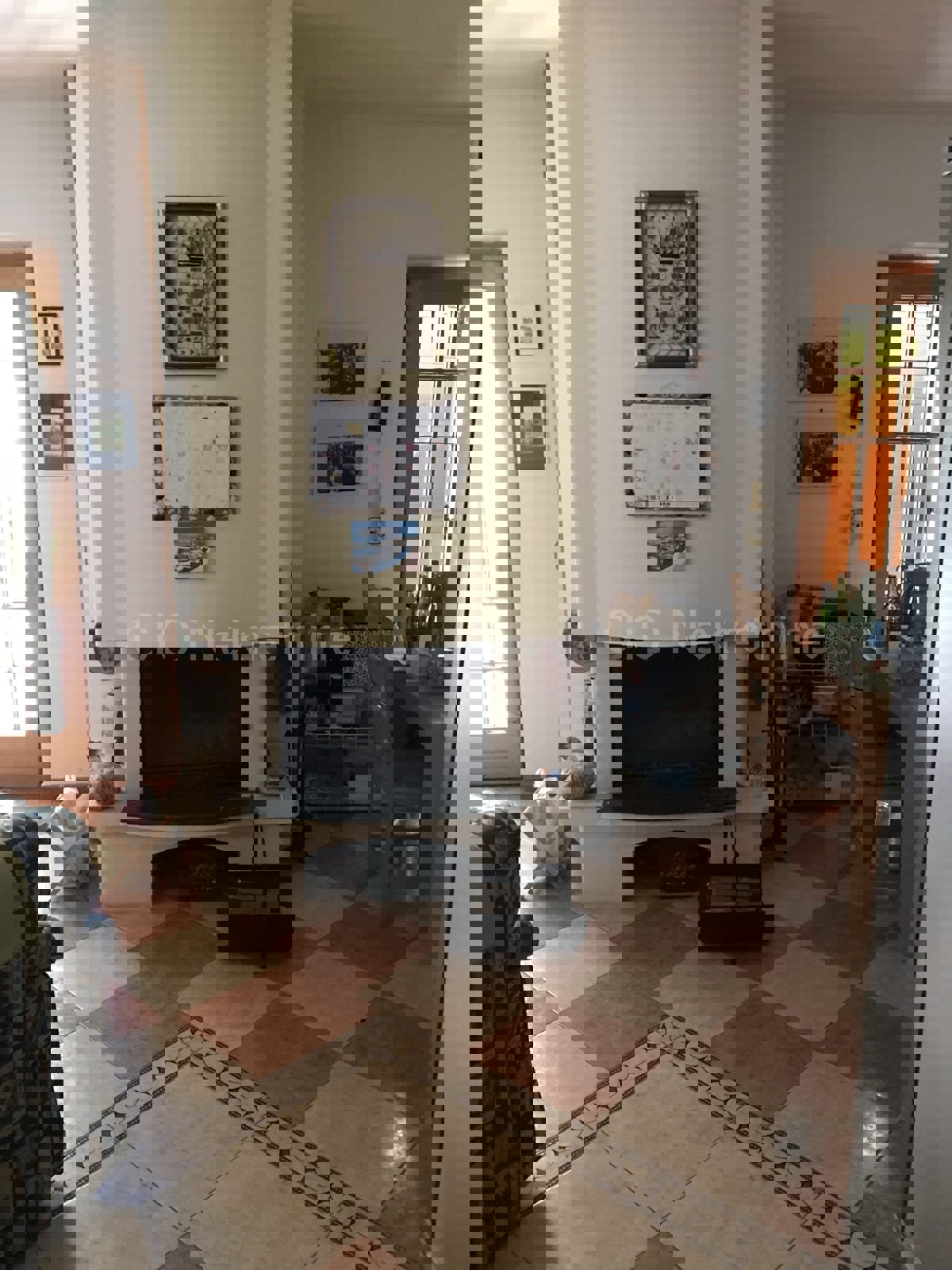 Brač, Milna, casa di 200 m2 con giardino, a 20 m dal mare