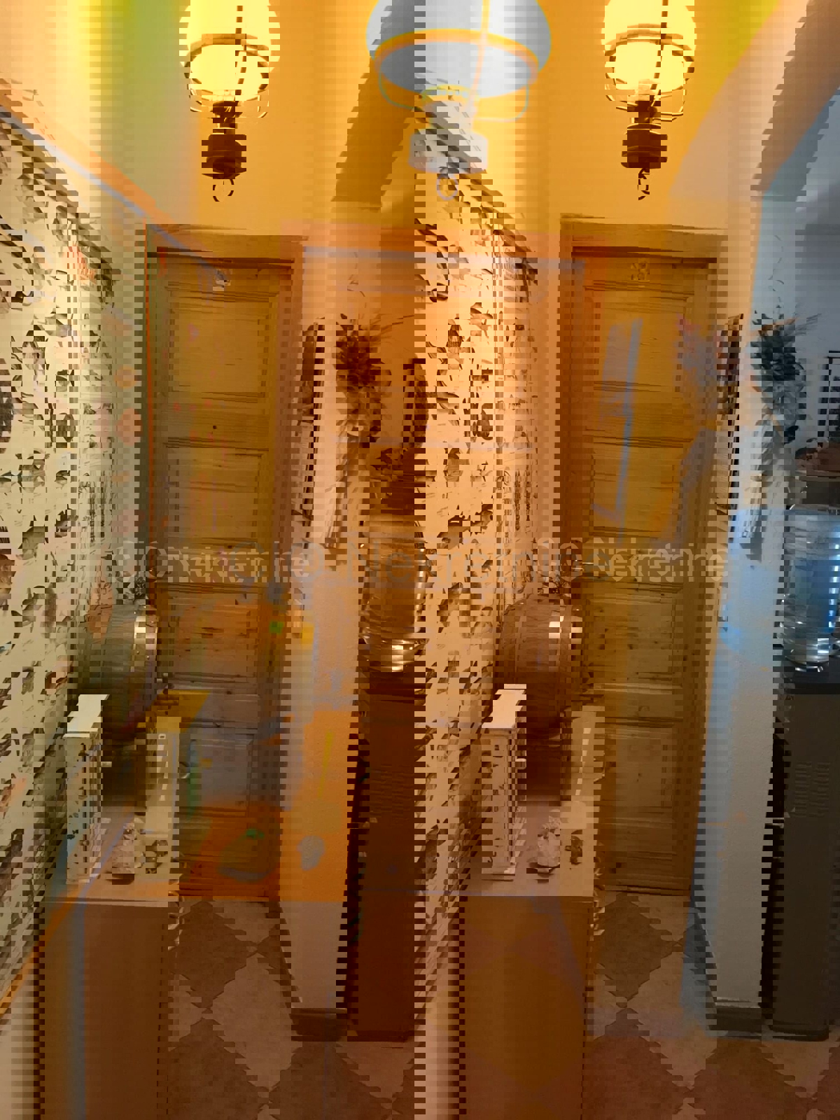 Brač, Milna, casa di 200 m2 con giardino, a 20 m dal mare