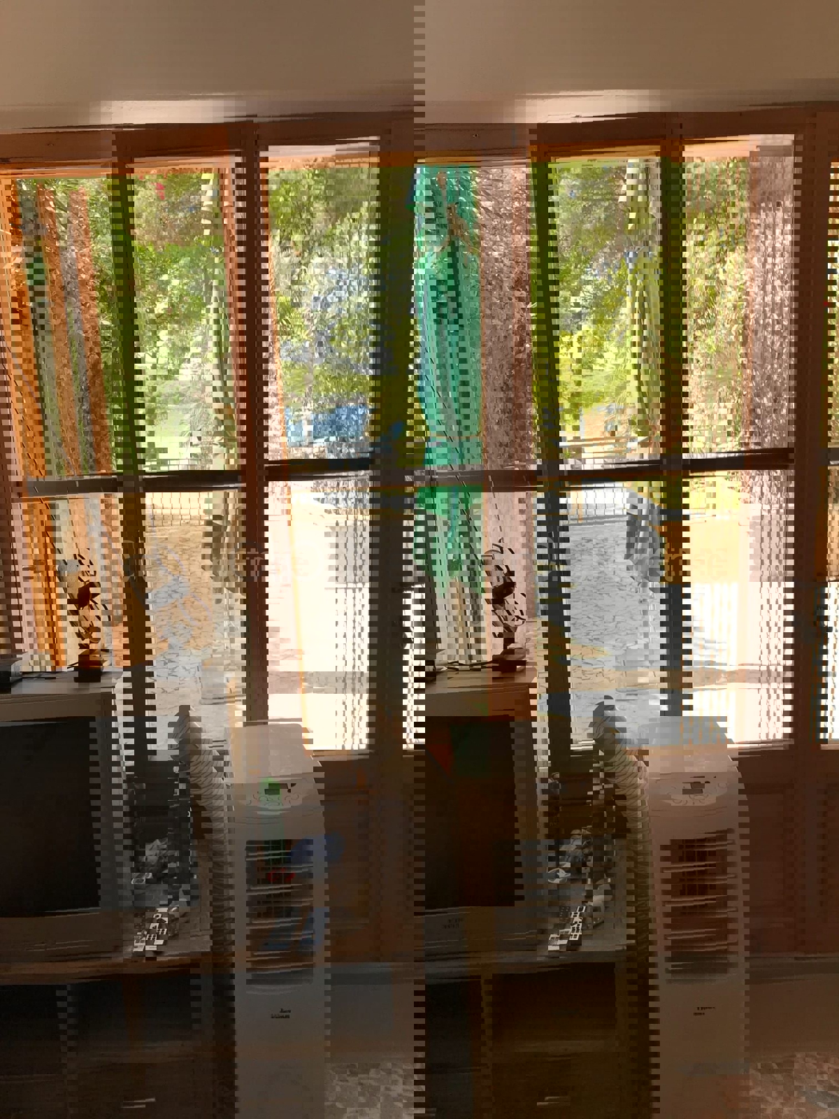 Brač, Milna, casa di 200 m2 con giardino, a 20 m dal mare