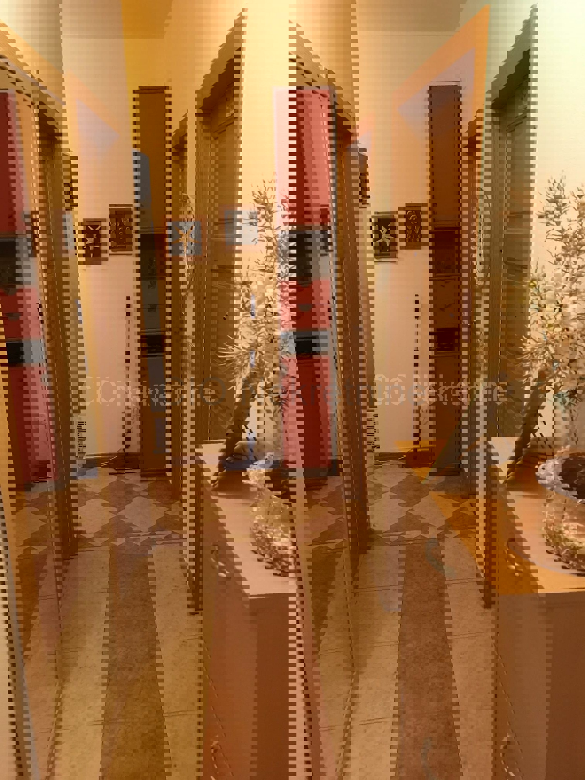 Brač, Milna, casa di 200 m2 con giardino, a 20 m dal mare