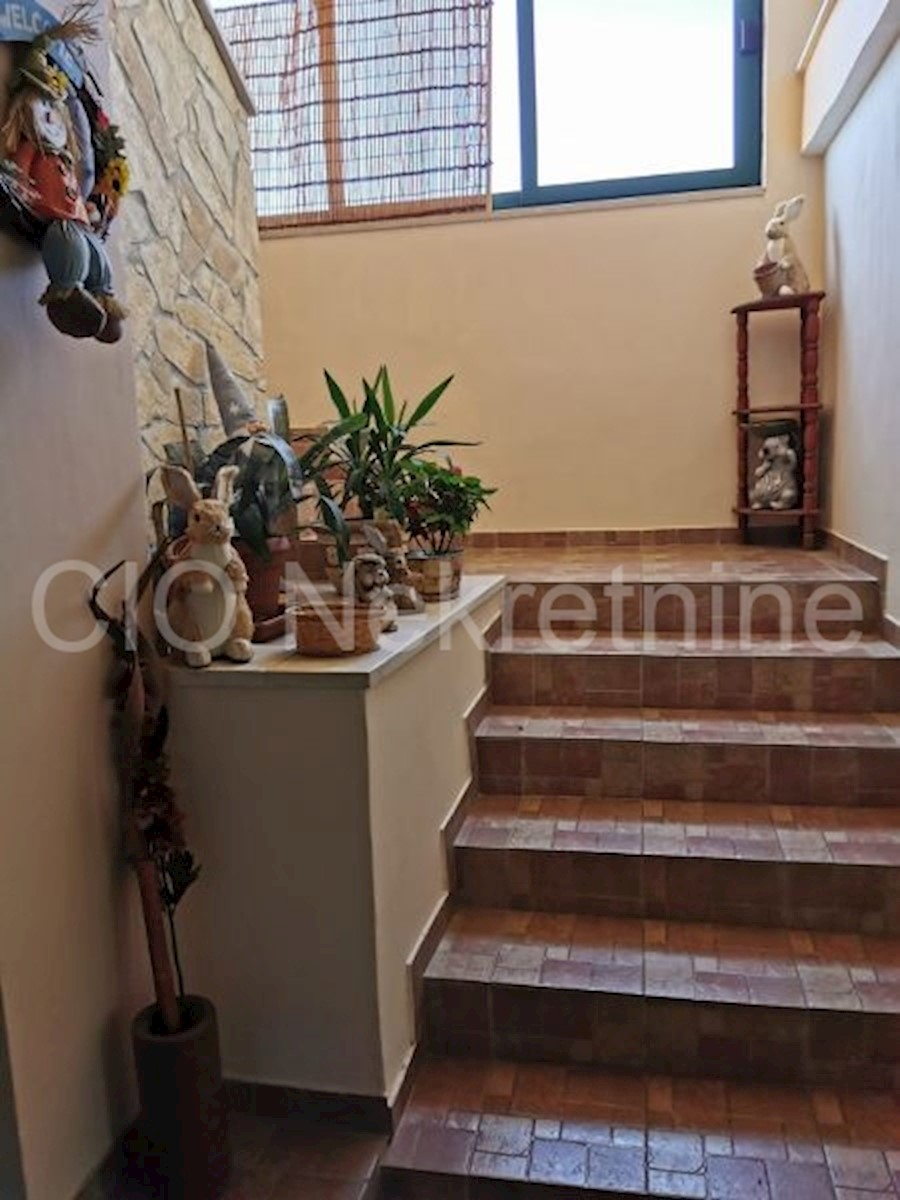 Brac, Donji Humac, casa di famiglia e ranch, in vendita