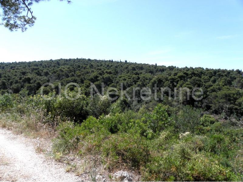 Trogir, Cocina cara, terreno edificabile in verde