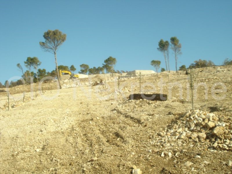 Dalmazia, isola di Brac terreno vendita