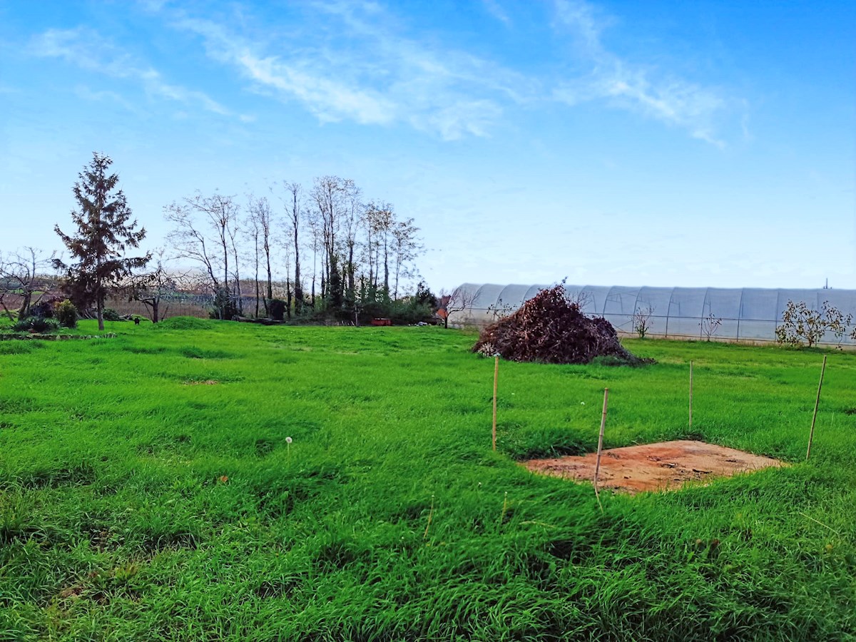 Parenzo, dintorni Terreno edificabile ai margini della zona edificabile ID 3081