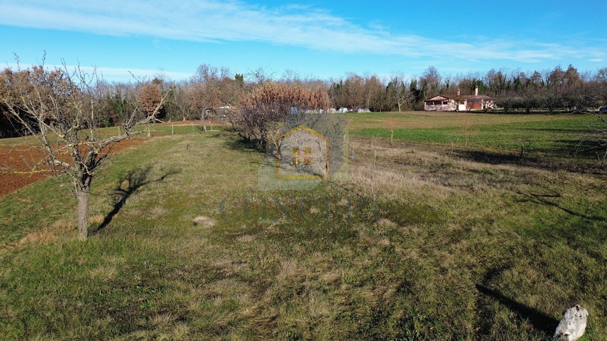 Poreč, dintorni, Terreno edificabile in una bella posizione, 15 km dal mare