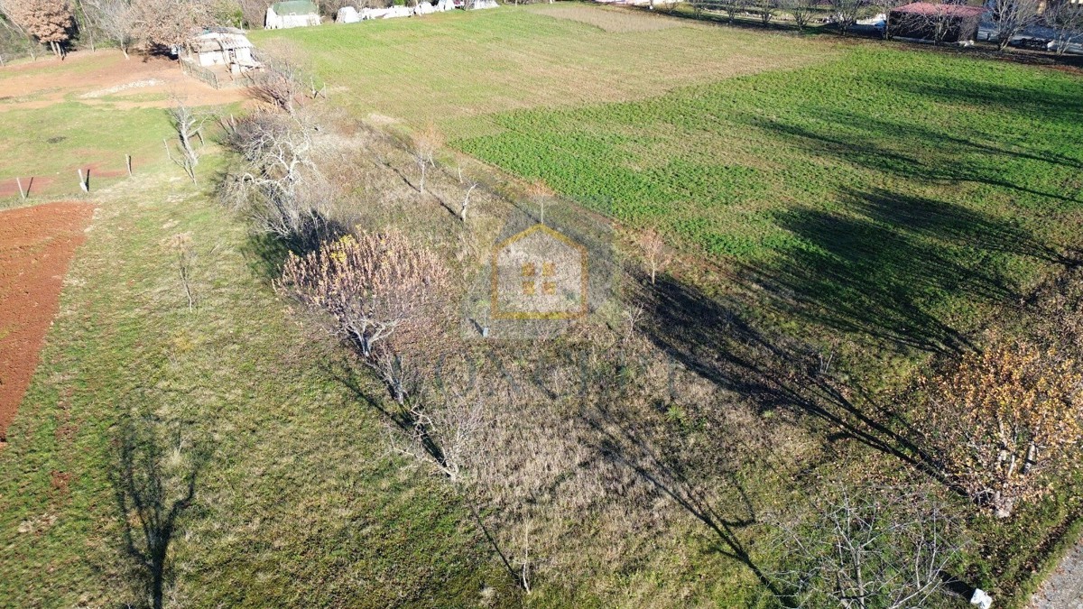 Poreč, dintorni, Terreno edificabile in una bella posizione, 15 km dal mare