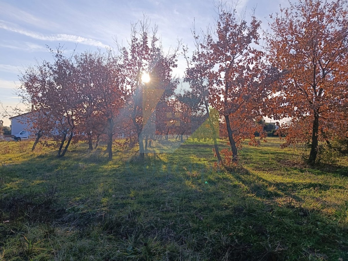 Poreč, dintorni, Terreno edificabile in una bella posizione a 6 km dal mare