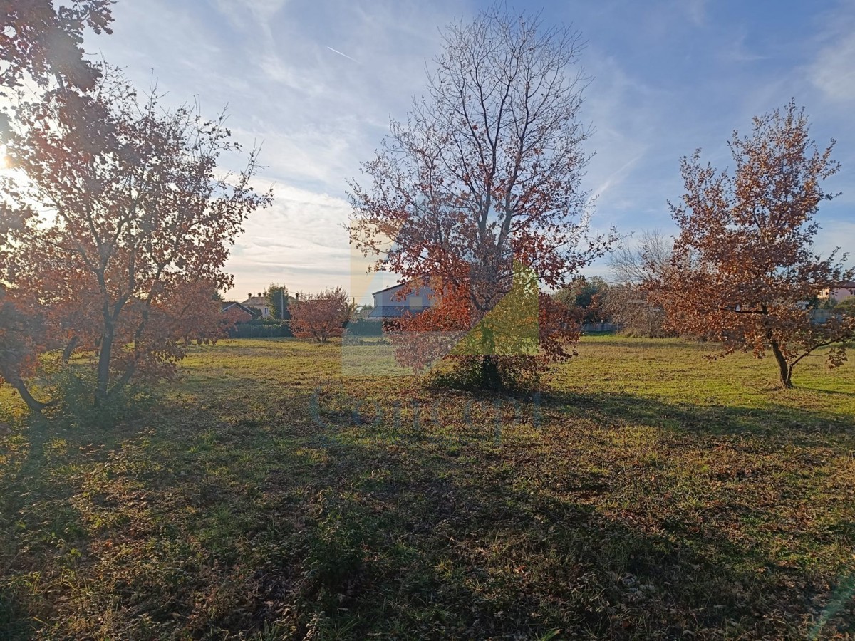 Poreč, dintorni, Terreno edificabile in una bella posizione a 6 km dal mare